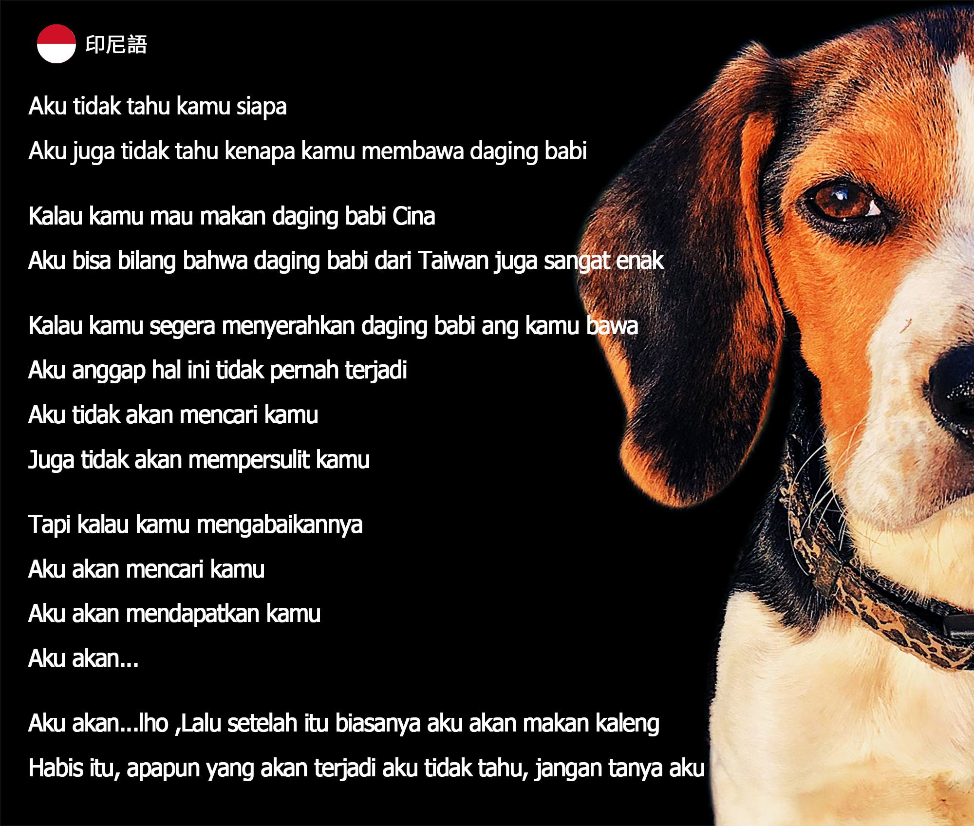 防疫犬-印尼.jpg