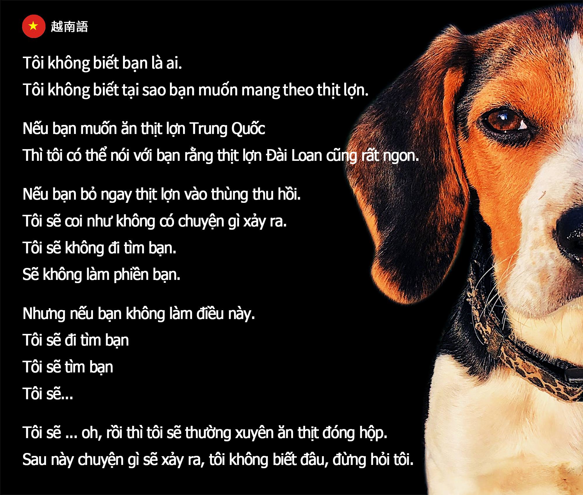 防疫犬-越南.jpg